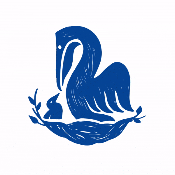 Pelikanos animacion